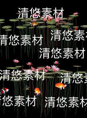 3dmax c4d fbx obj格式水中荷花荷叶植物文件 非实物B795