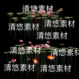 obj格式 3dmax c4d fbx 非实物B795 水中荷花荷叶植物文件