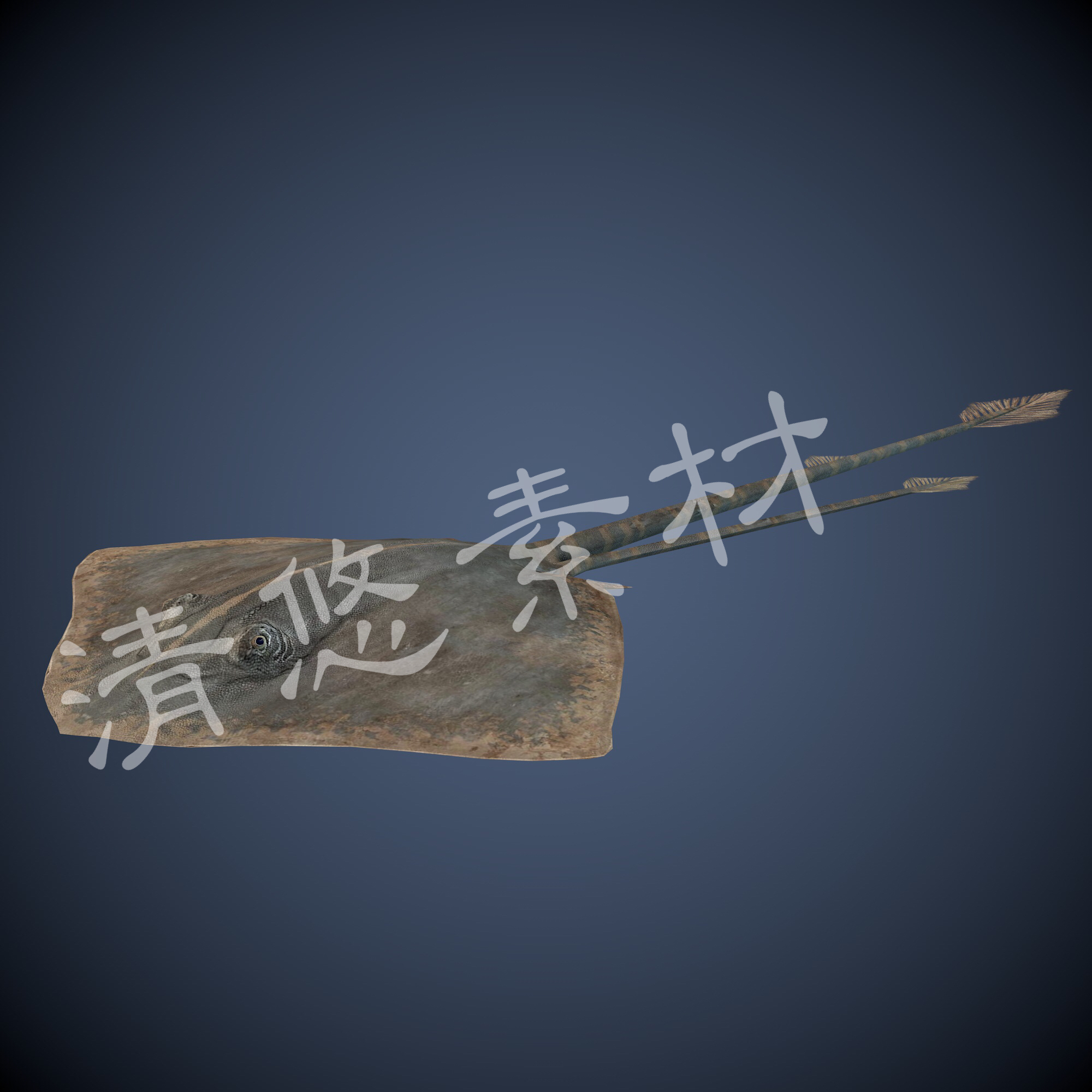 老板鱼鳐鱼海洋动物模型文件c4d fbx格式骨骼绑定带动作 A198