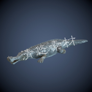 鳄鱼骨骼绑定带动画模型爬行四足动物模型 A40 fbx格式 c4d