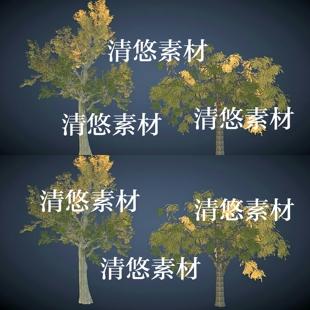 3dmax fbx obj远景植物树木银杏树叶贴图模型文件 非实物A795 c4d