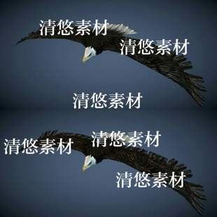 c4d 非实物A650 fbx骼绑定低模老鹰飞行动物模型文件雕带动画