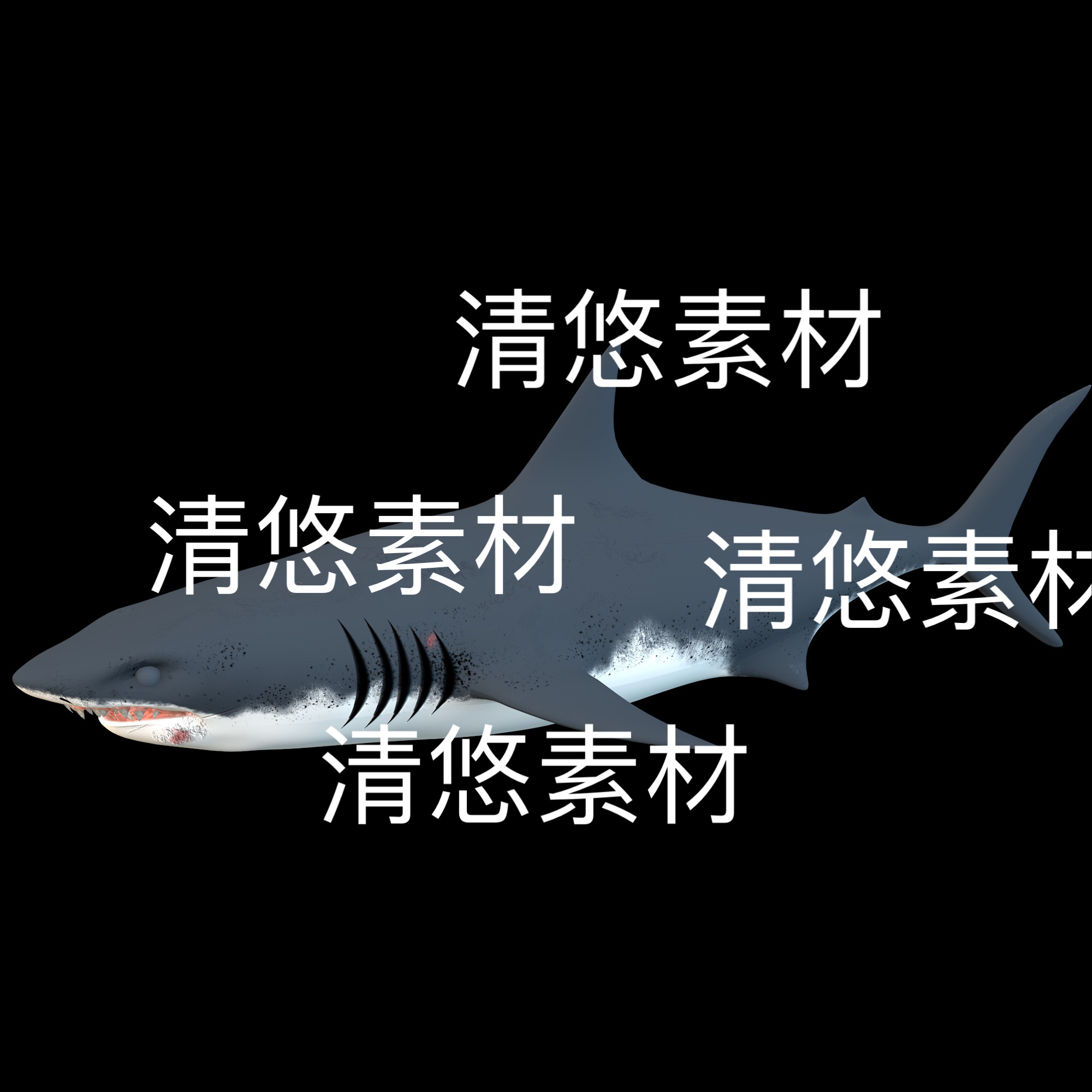 c4d fbx格式骨骼绑定海洋动物鲨鱼模型动作文件 非实物D66