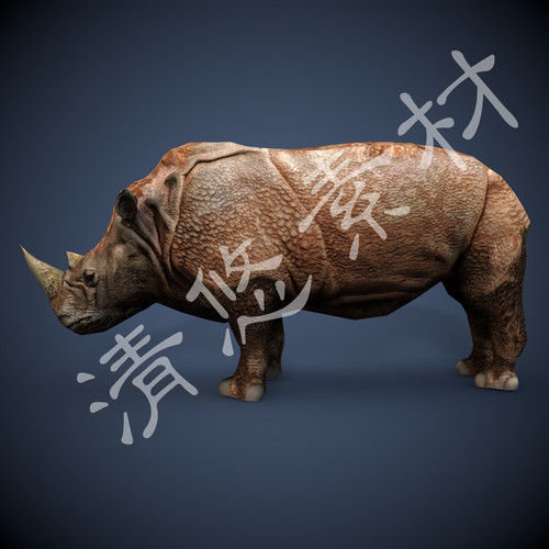 3dmax c4d犀牛模型 犀科野生动物 骨骼绑定动画fbx格式 272