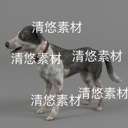 c4d fbx格式骨骼绑定战争爆炸末日受伤的小狗动物文件 非实物D746