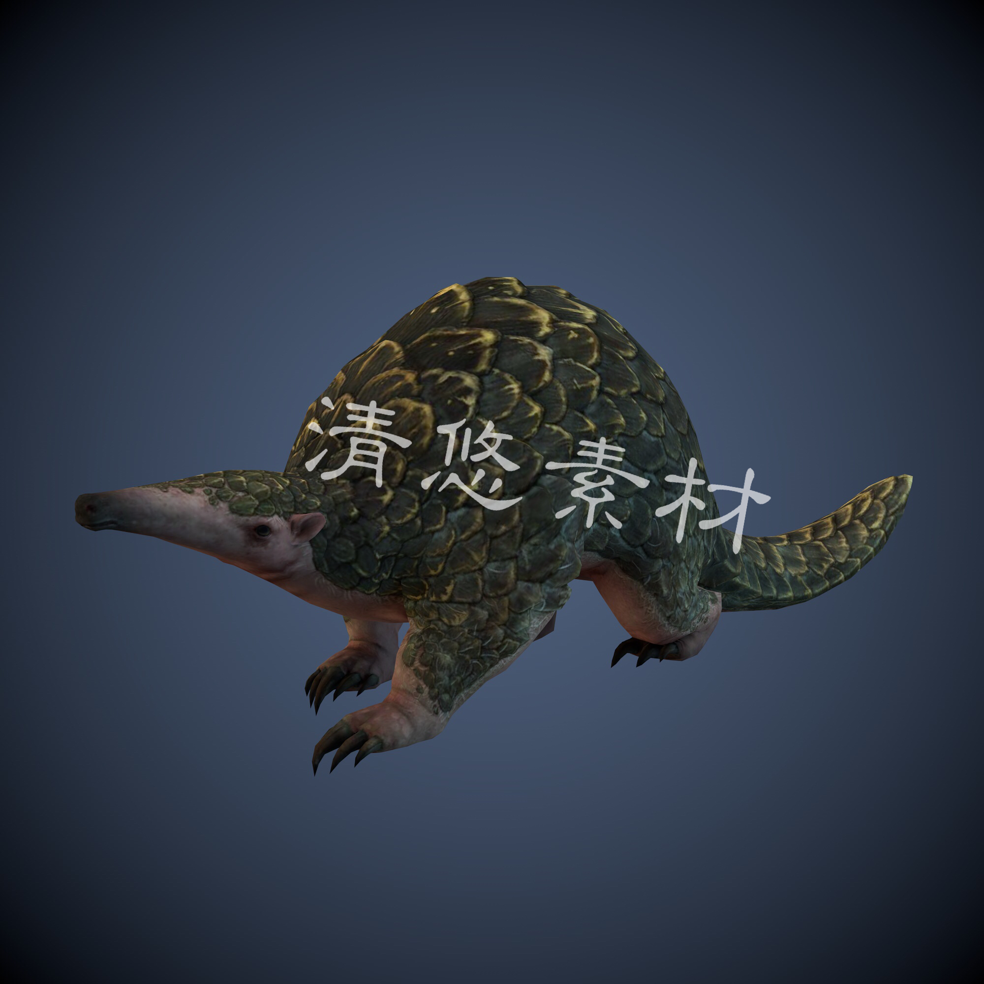 c4d fbx格式模型穿山甲动物骨骼绑定带动作文件模型 非实物A242