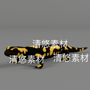 火蜥蜴3D模型骨骼绑定动作文件 非实物D290 fbx格式 爬行动物c4d