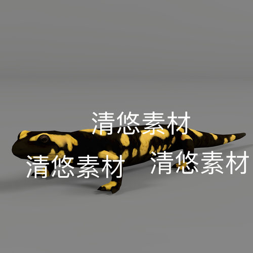 爬行动物c4d fbx格式火蜥蜴3D模型骨骼绑定动作文件 非实物D290