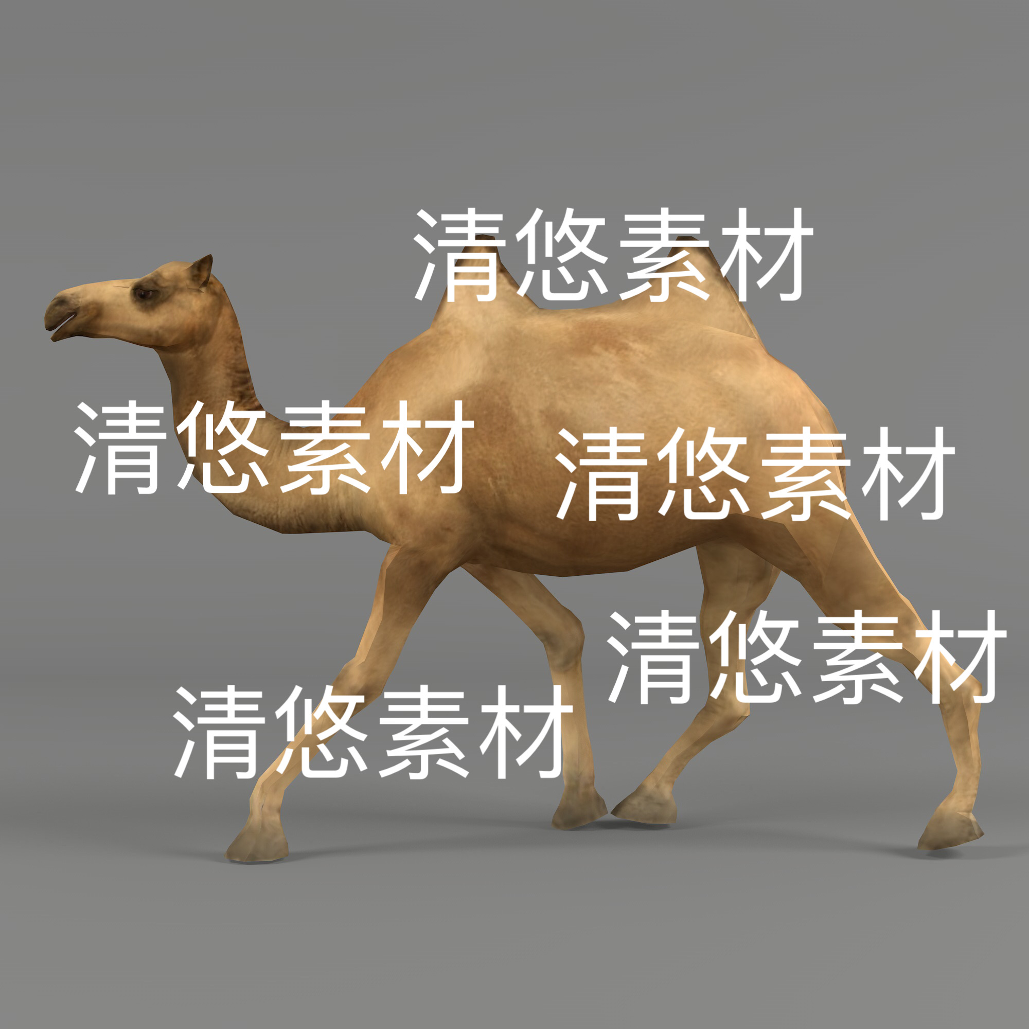 沙漠之舟c4d fbx格式骆驼动物3D模型骨骼绑定动作文件 非实物E29
