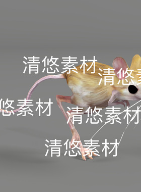 长腿老鼠跳鼠动物3d文件c4d fbx格式骨骼绑定模型动作 非实物E277