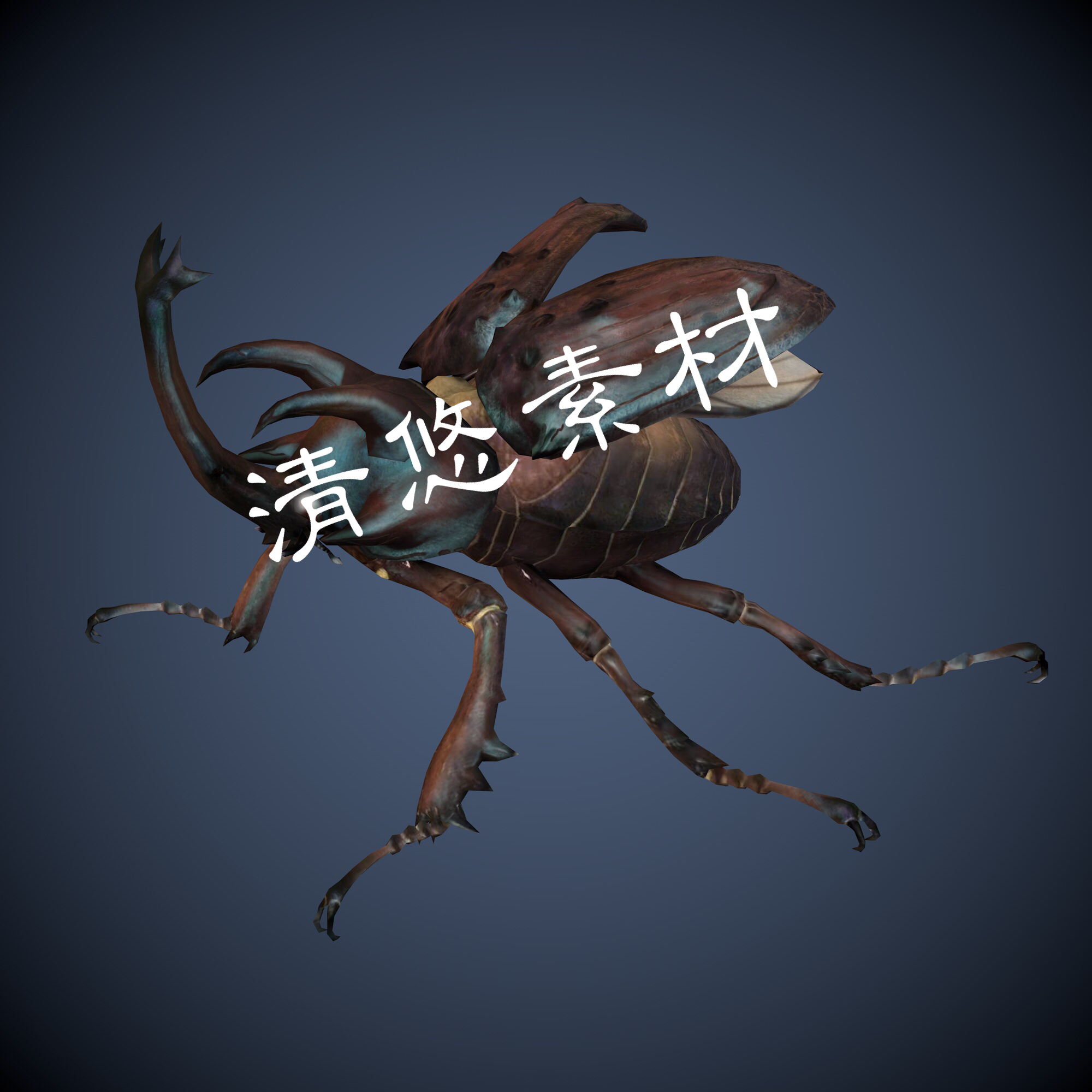 双叉犀金龟昆虫甲壳虫动物c4d fbx格式模型骨骼绑定带动作 A200
