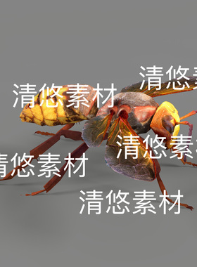 昆虫3d文件c4d fbx格式胡峰大黄蜂骨骼绑定模型动作 非实物E274