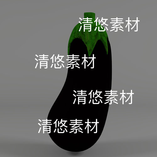 3dmax c4d fbx obj格式蔬菜茄子模型文件 非实物D768