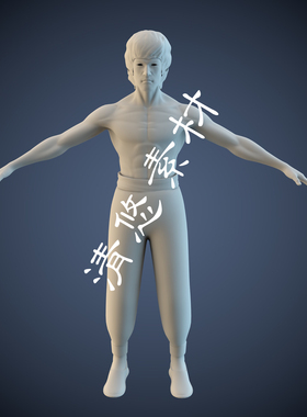 中国近代功夫之王李小龙写实模型maya c4d fbx ob格式 非实物A244