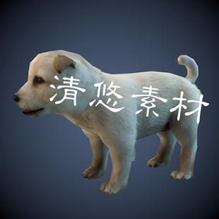 文件模型骨骼绑定带动画狗子 A197 fbx格式 小奶狗犬科动物小狗c4d