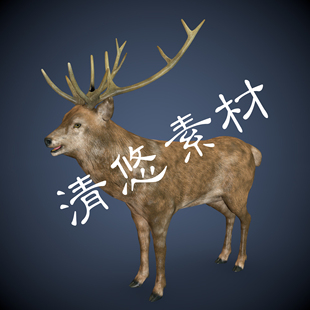 四足野生动物雄鹿3dmax fbx格式 模型骨骼绑定带动画鹿 760 c4d