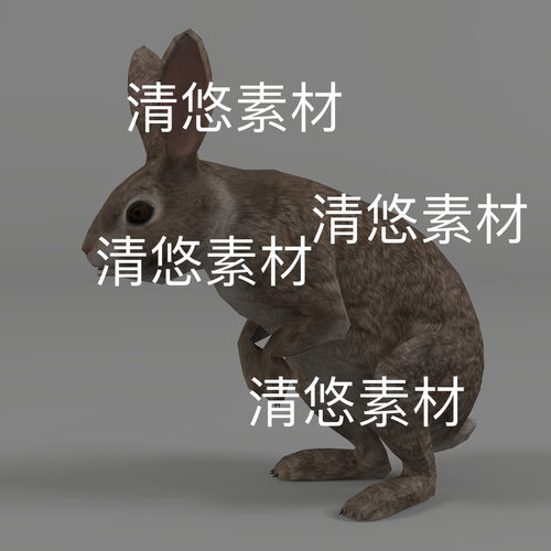 c4d fbx格式兔子动物3D模型野兔骨骼绑定动作文件 非实物D931