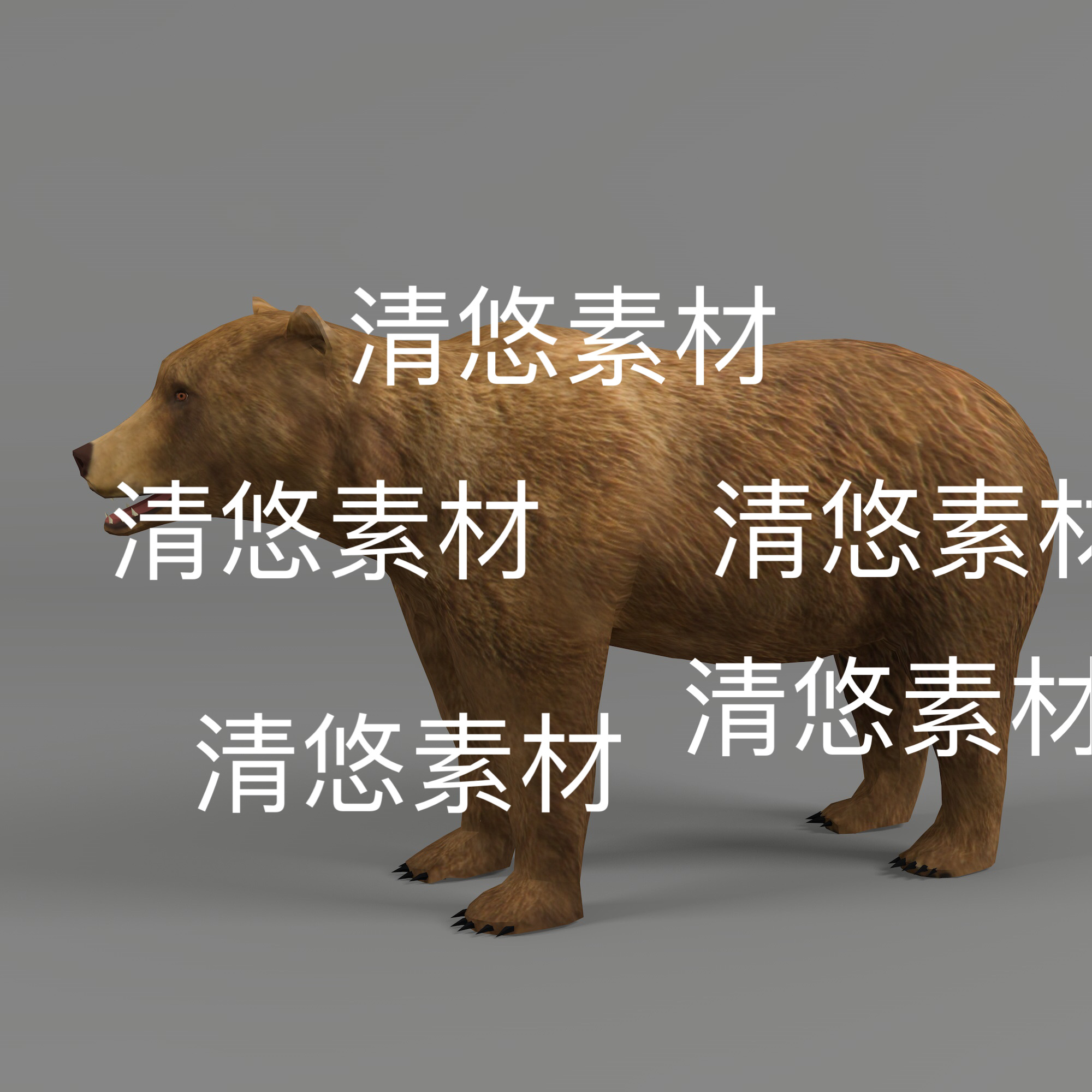 c4d fbx格式模型带动作骼绑定简模棕熊动物文件 非实物D628