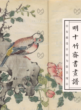 明代高清十竹斋书画谱电子图片素材梅兰竹石水果翎毛绘画临摹JPG