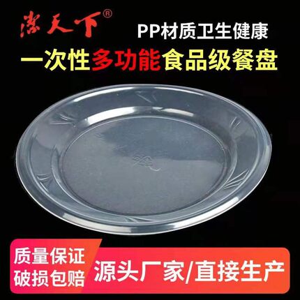 一次性盘子加厚碟子食品级耐高温结婚用家用水果零食烧烤用饭店用