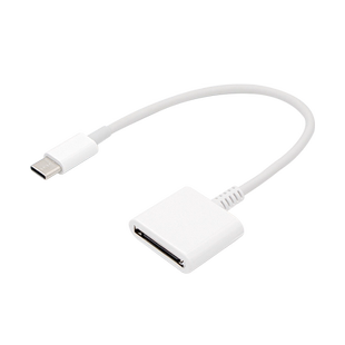 适用苹果30pin接口老款iPhone4 4S iPad2数据线转typec插头充电转接头连接安卓华为小米手机数据线转换器头子