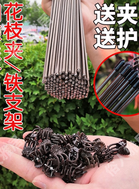 蝴蝶兰造型花卉爬藤植物固定支架