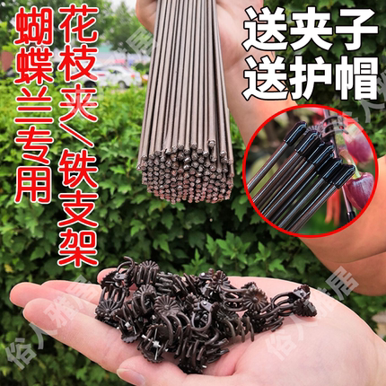 蝴蝶兰支架支撑杆造型架子园艺花卉花枝夹子蔓藤爬藤植物固定夹子