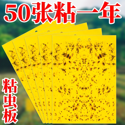 俗人雅居双面粘虫板强力