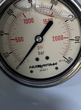 议价 Nuovafima 压力表现货议价