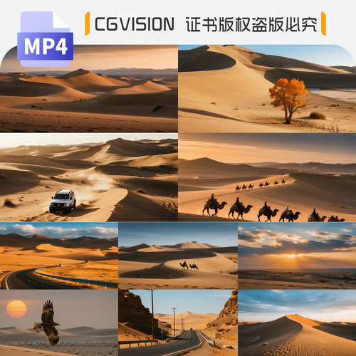 甘肃沙漠骆驼老鹰戈壁沙丘穿越野车航拍延时旅游自然风光视频素材