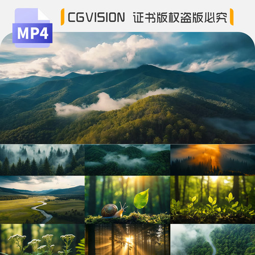 森林野外四季雾气丁达尔阳光透射唯美大自然LED背景AIGC视频素材