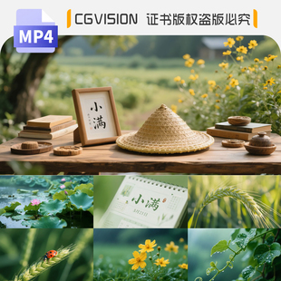 小满芒种节气夏天下雨水滴小麦稻穗绿色农作物唯美清新4k视频素材