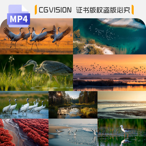 生态湿地湖泊飞鸟候鸟水鸟群迁徙白鹭丹顶鹤自然景观航拍视频素材