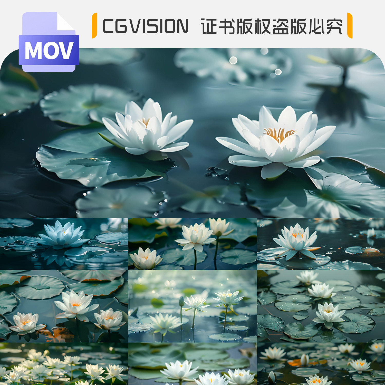 唯美莲花荷花荷叶池塘夏天清新睡莲抖音剪辑LED大屏背景视频素材,商务/设计服务,设计素材/源文件,淘宝优惠券,粉丝福利购,淘宝优惠卷