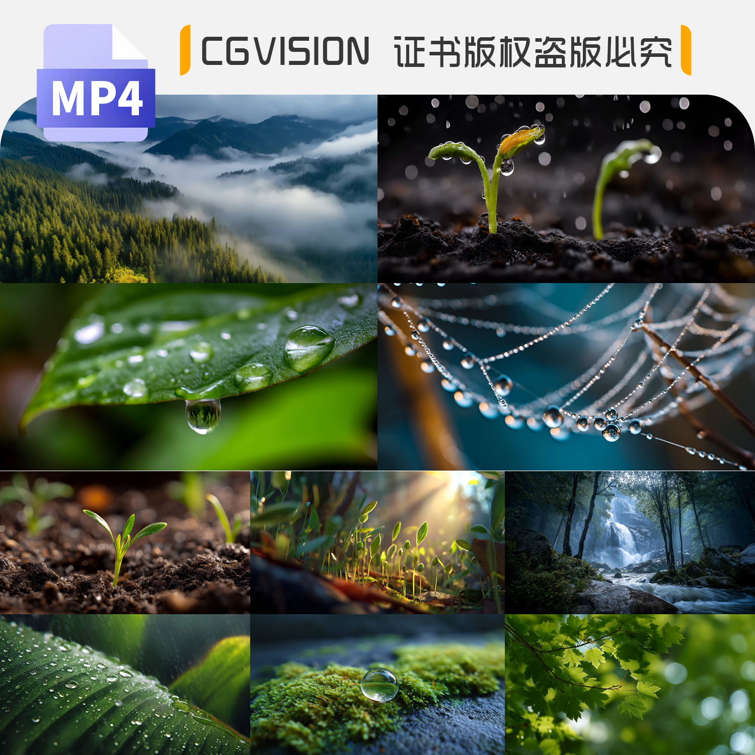 春雨后原始森林万物生长复苏种子发芽破土而出自然风光4K视频素材