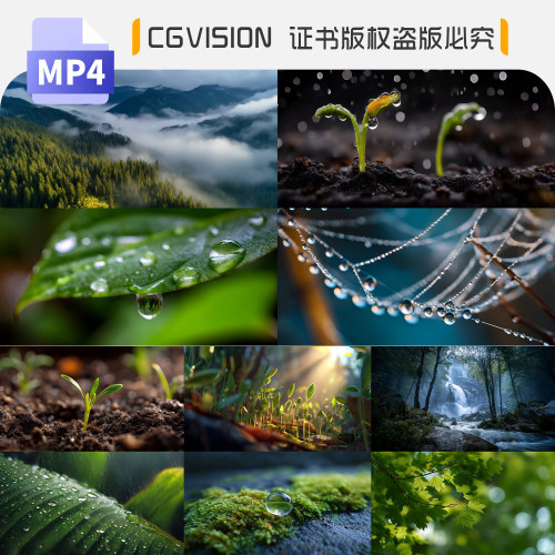 春雨后原始森林万物生长复苏种子发芽破土而出自然风光4K视频素材