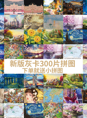 Sim拼图新手成人版300片儿童益智玩具6岁中国地图世界高级装饰画