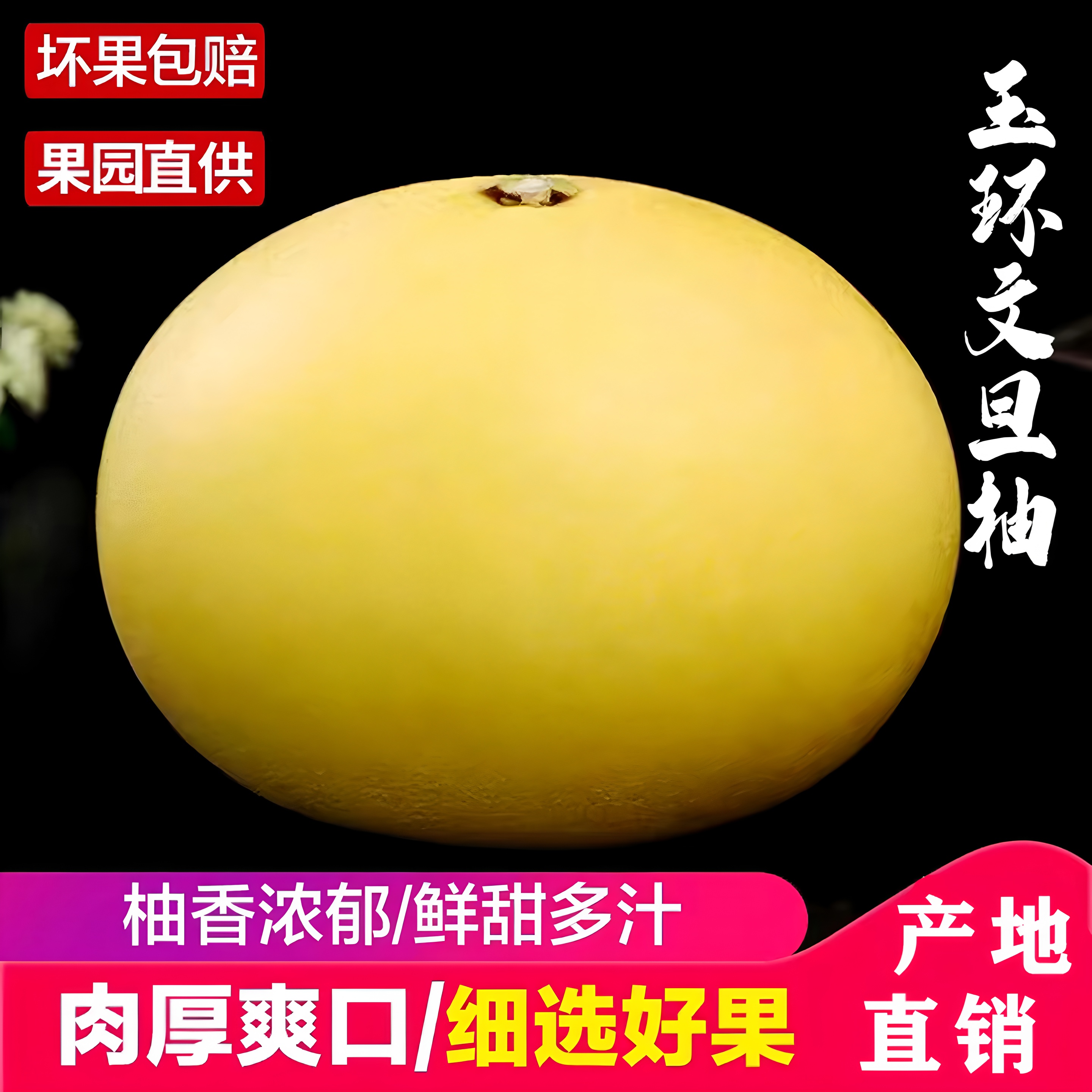 浙江台州玉环文旦柚正宗产地发货