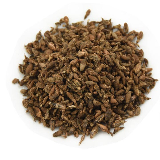 金沙牛 100g克干货干净 中药材 金砂牛砂牛虫蚂岭虫蚁狮