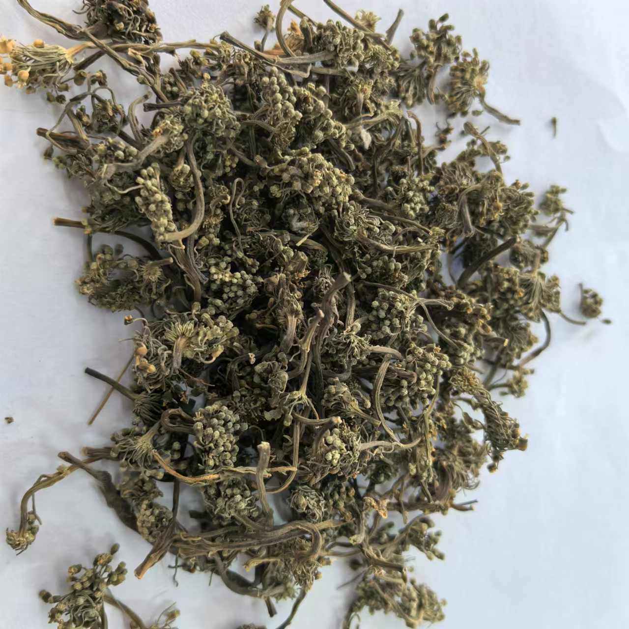 三七花 正品 田七花 云南产地 500g包邮 三七花米 中药材