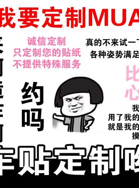 车贴定制后挡风玻璃划痕遮挡反光贴创意拉花汽车改装车身贴纸个性