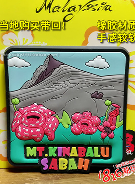 马来西亚带回沙巴大王花冰箱贴