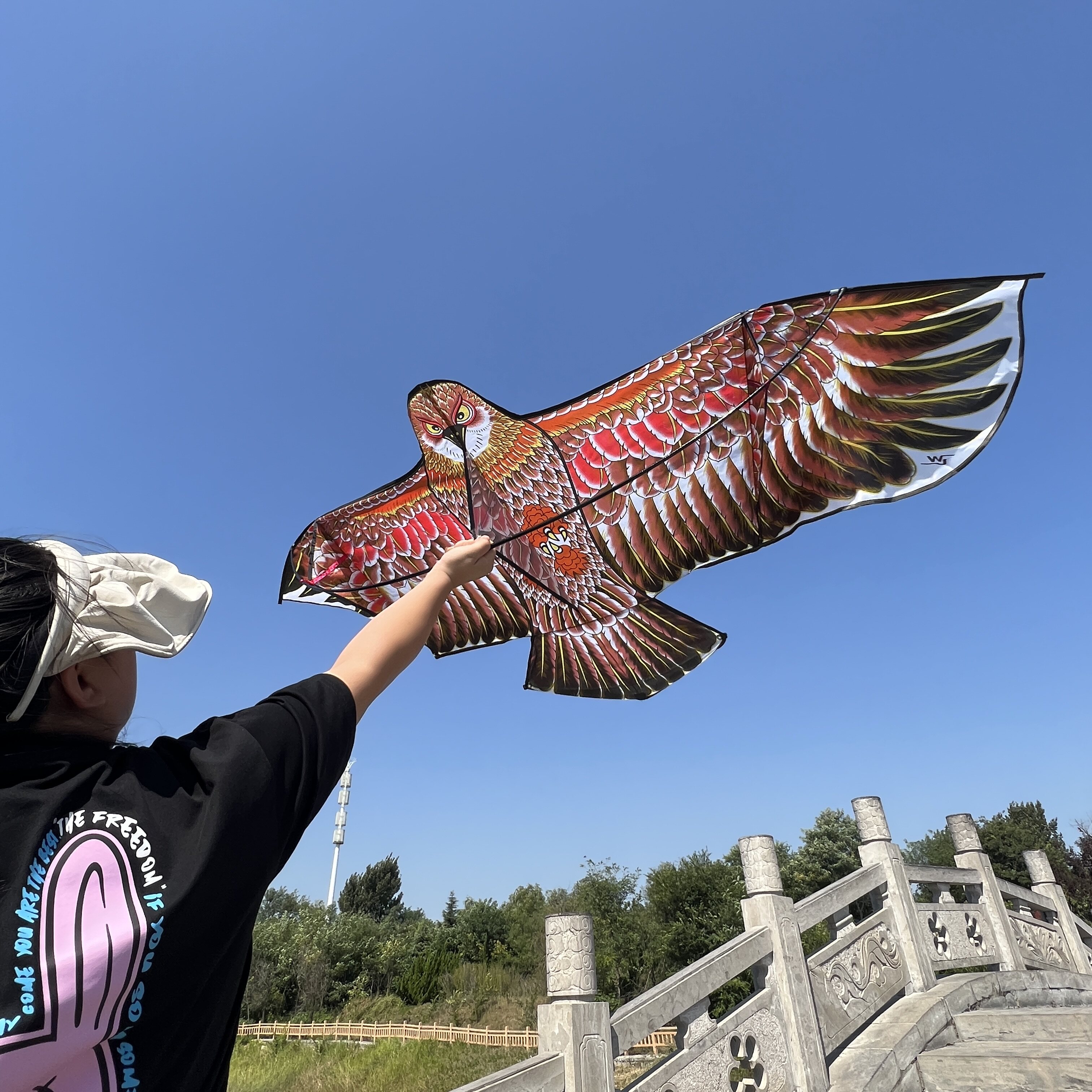 新款老鹰造型风筝儿童成人户外运动风筝前撑杆金色老鹰微风易飞