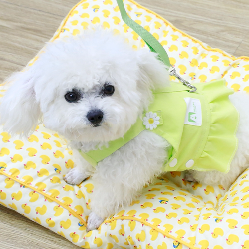 宠物衣服狗狗公主裙夏季薄款泰迪比熊博美小型犬猫咪裙子
