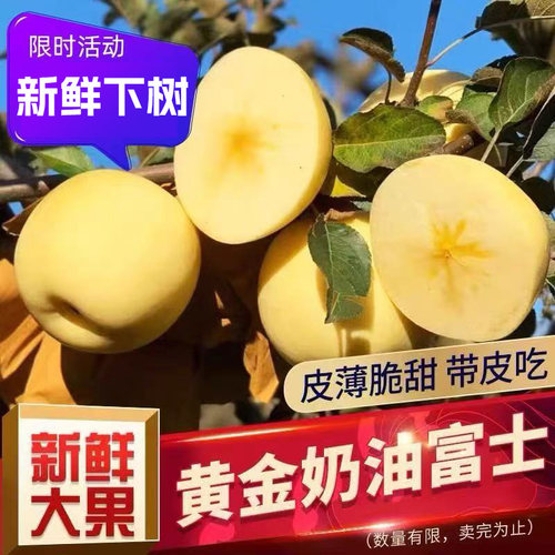 烟台昆嵛山脆甜皮薄新鲜奶油富士