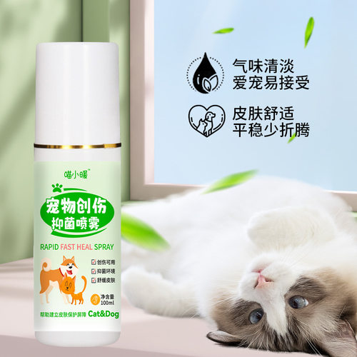 宠物伤口喷雾创伤术后喷剂