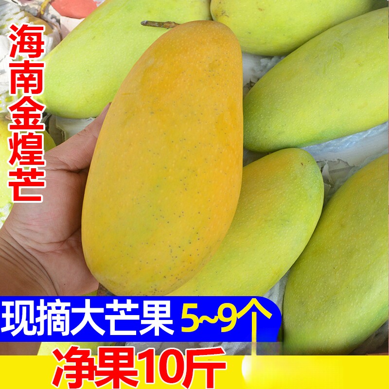 海南金煌芒水仙芒三亚黄金芒果特大果新鲜当季水果青芒整箱10斤