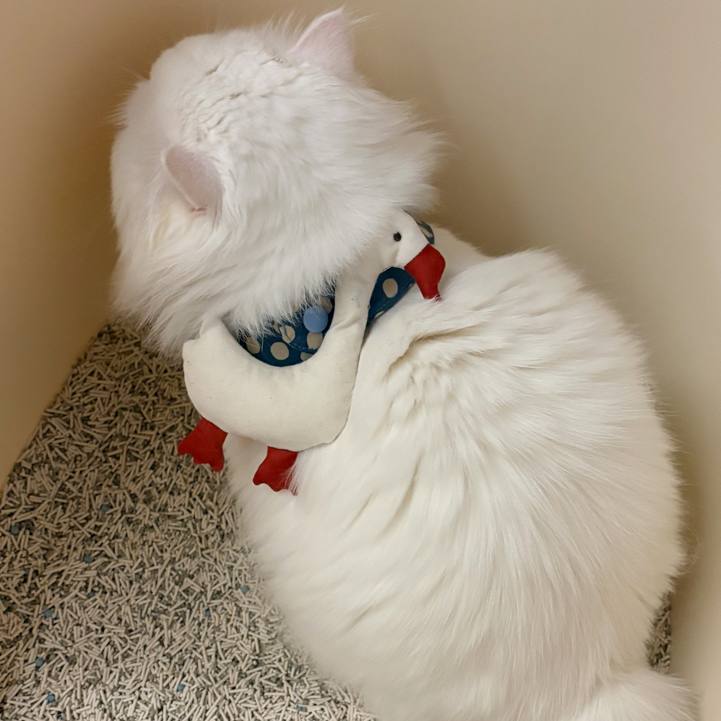 原创猫咪口水巾宠物围脖 猫狗通用吃饭防脏围兜 大鹅装饰拍照配饰