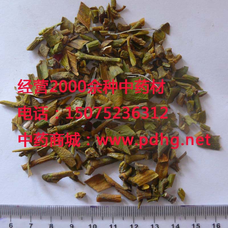 槲寄生,北寄生,柳寄生,冻青,中药材槲寄生,大货草药槲1000克