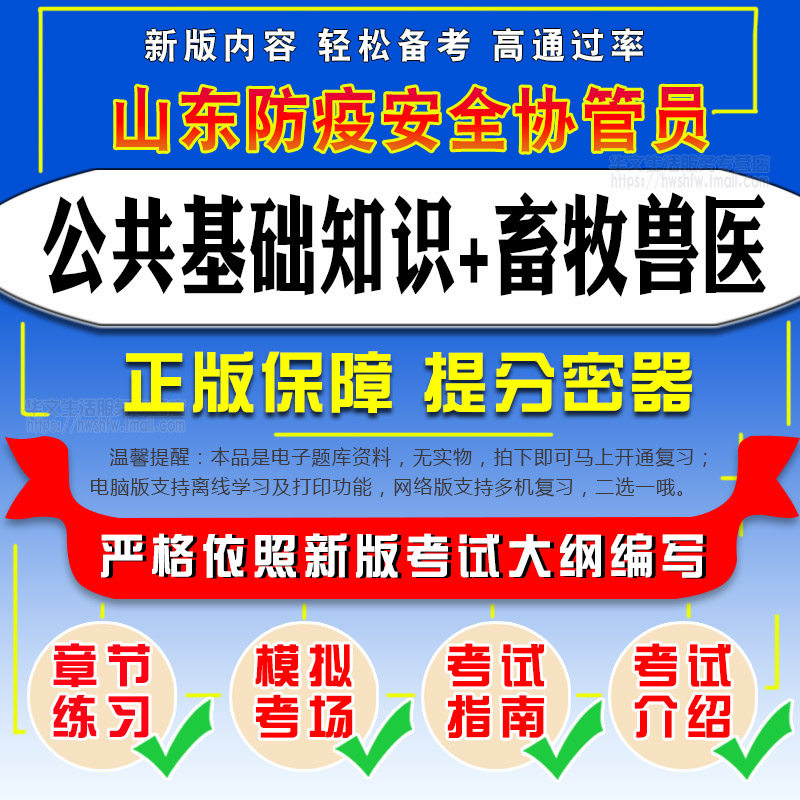 强化训练/历年真题/模拟试卷/考前冲刺复习
